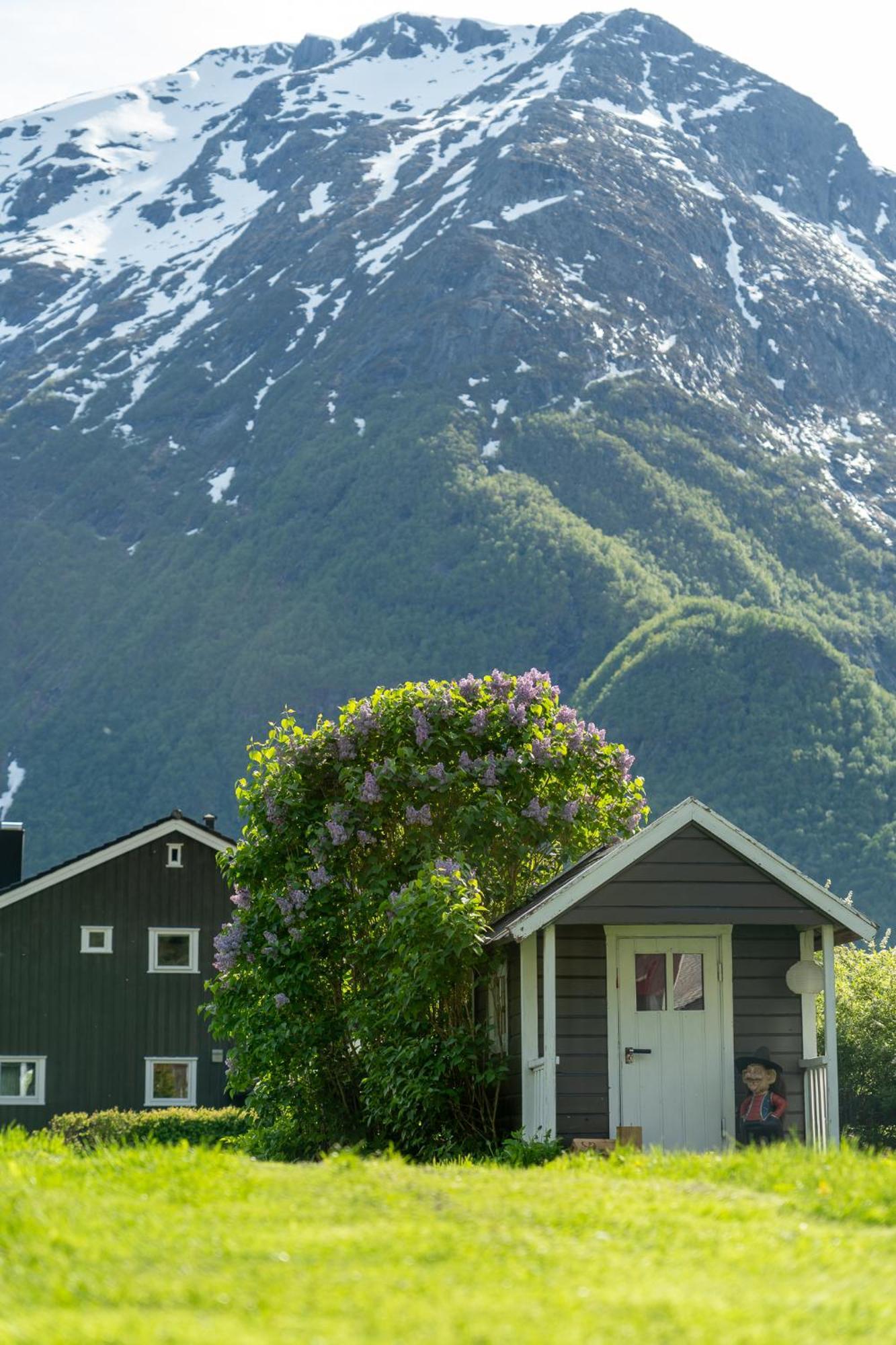 COZY basement apartment Åndalsnes Extérieur photo